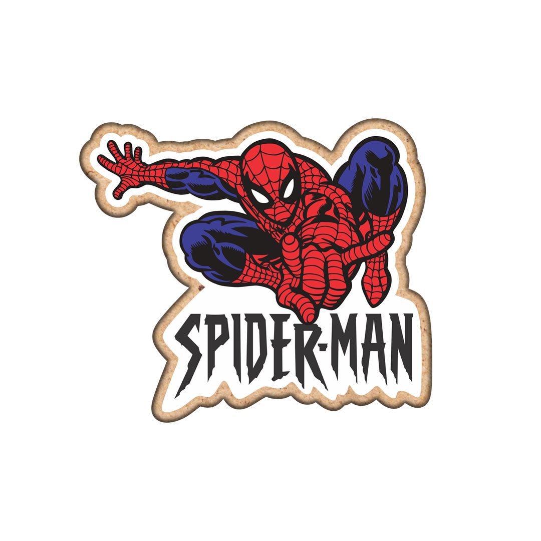 Spider Man Fridge Magnet