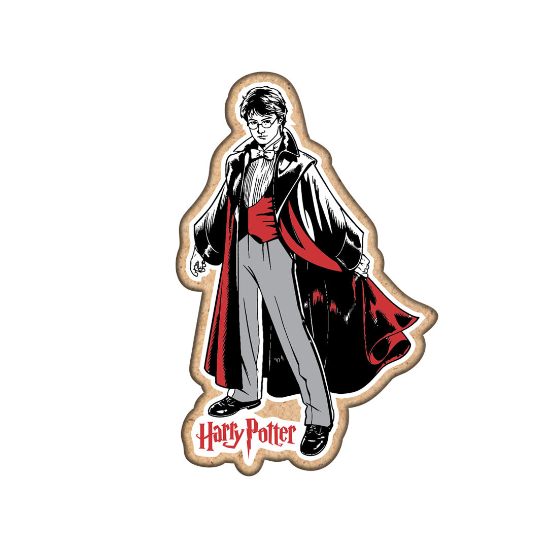 Harry Potter Fridge Magnet